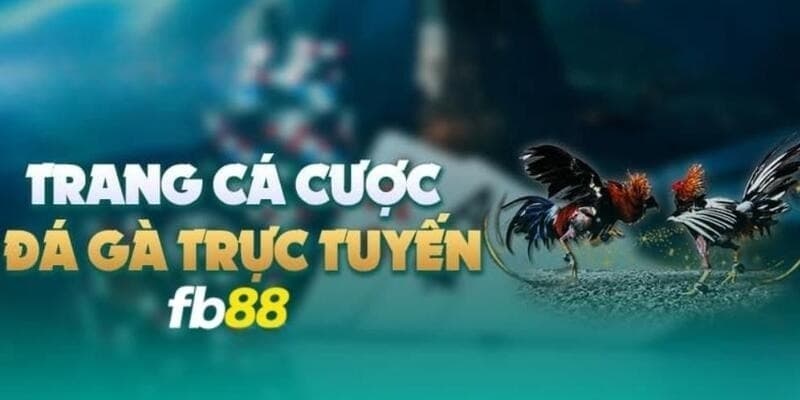 Cách chơi đá gà BET88 hiệu quả cho người mới