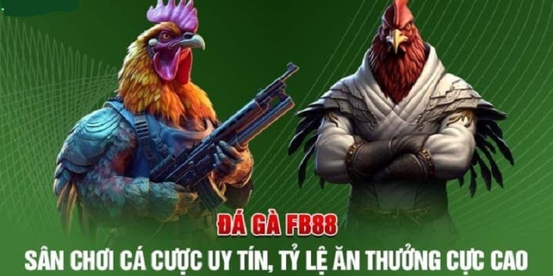 Tìm hiểu về dịch vụ cá cược đá gà BET88 